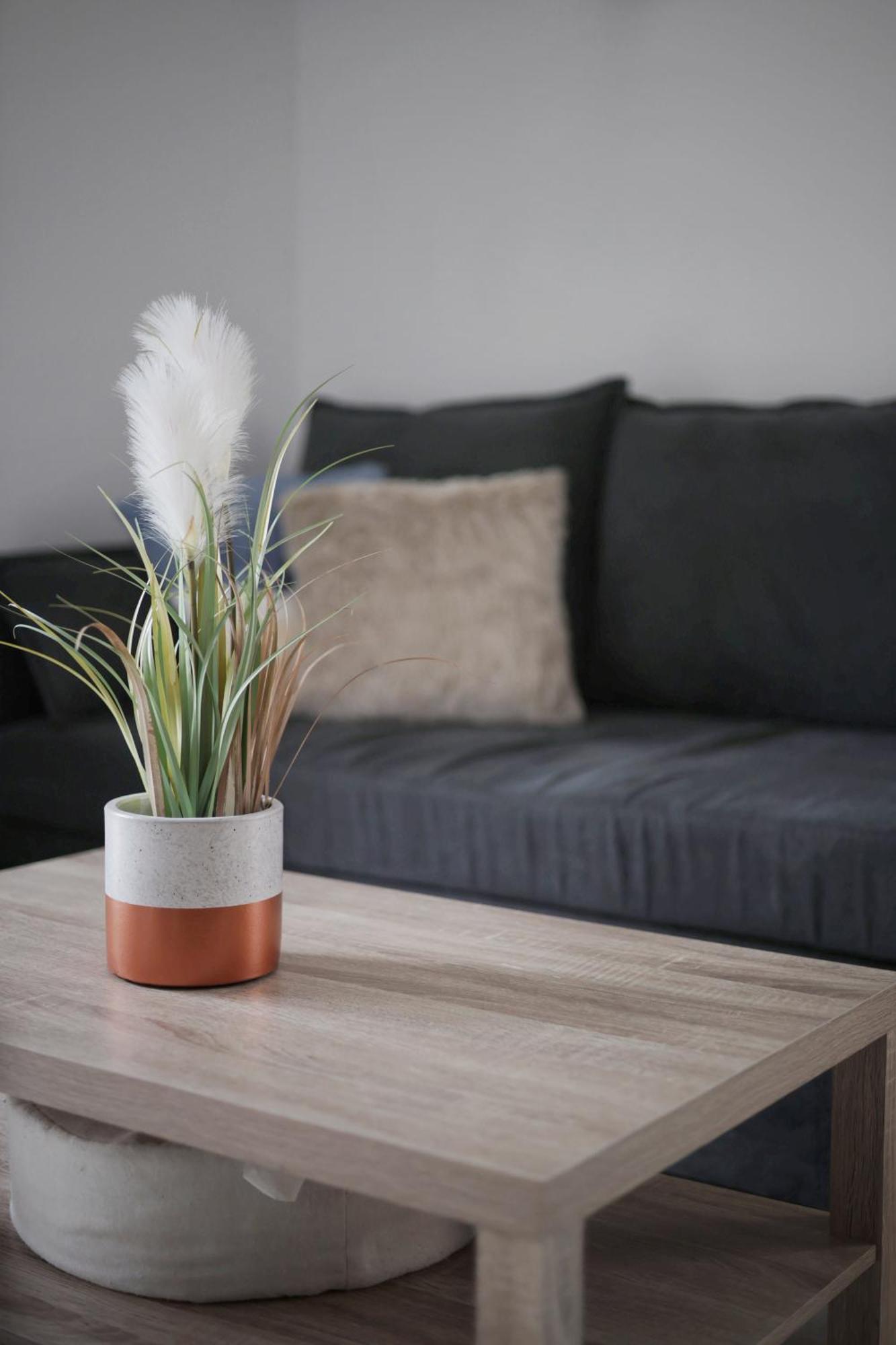 Appartement Familial Avec Jardin Ensoleille Dans La Cite Des Potiers วาลูริส ภายนอก รูปภาพ